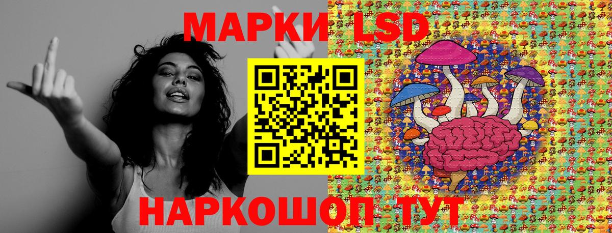 Тайшет  Марки NBOMe  Наркотические марки 1500мкг  Вход с VPN  Наркотические марки 1500мкг 